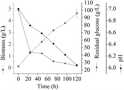 The mechanism of Laceyella sacchari FBKL4.010 produced tetramethylpyrazine in the liquid fermentation by comparative transcriptomic techniques